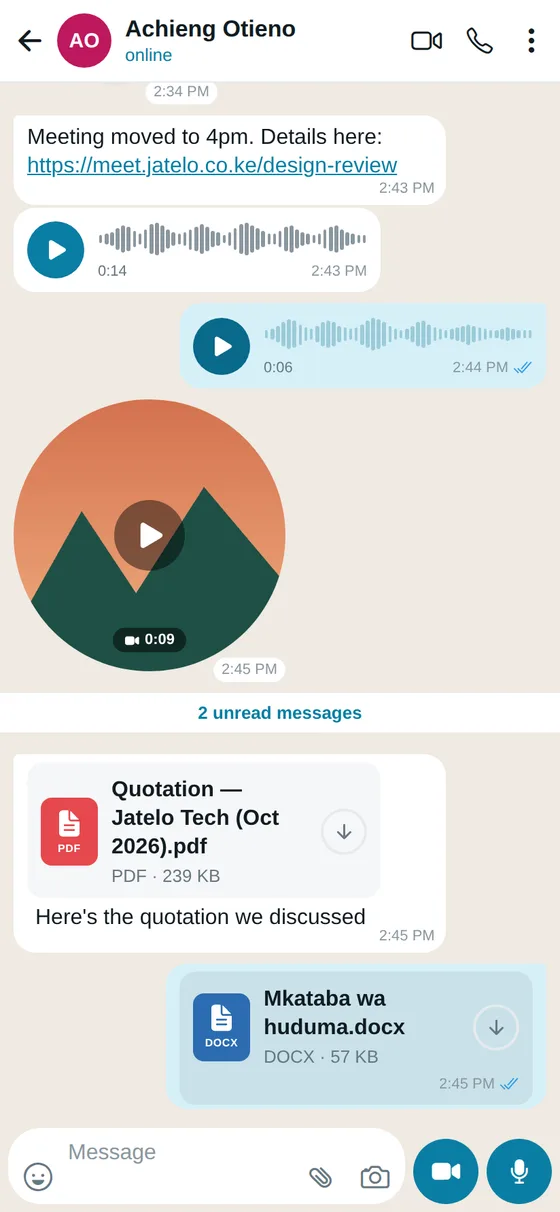 A chat with a voice note, a video message and documents